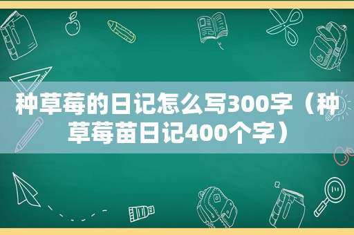 种草莓的日记怎么写300字（种草莓苗日记400个字）