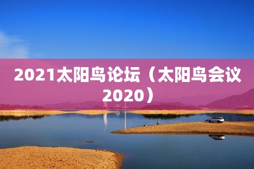 2021太阳鸟论坛（太阳鸟会议2020）