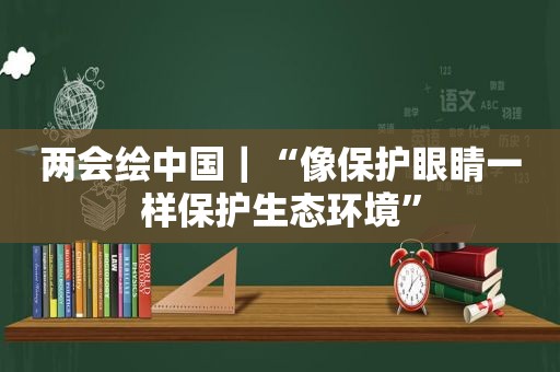 两会绘中国｜“像保护眼睛一样保护生态环境”