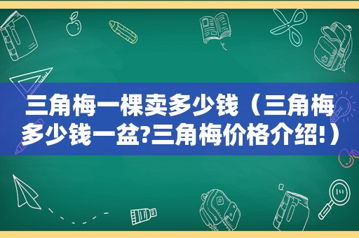 三角梅一棵卖多少钱（三角梅多少钱一盆?三角梅价格介绍!）