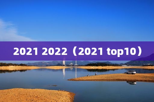 2021 2022（2021 top10）