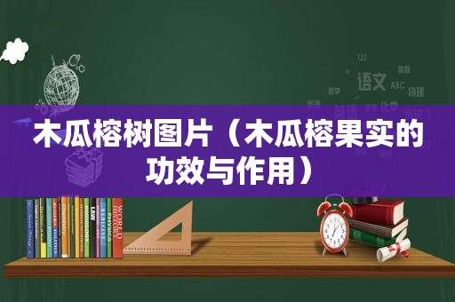 木瓜榕树图片（木瓜榕果实的功效与作用）