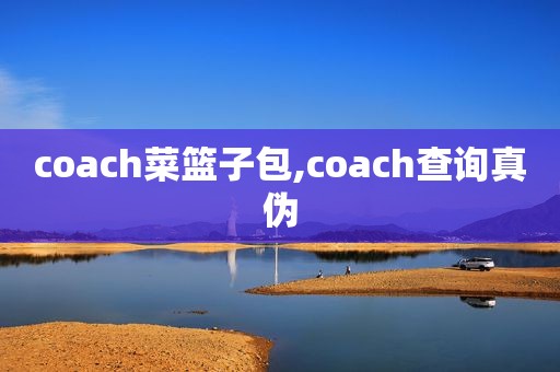 coach菜篮子包,coach查询真伪  第1张