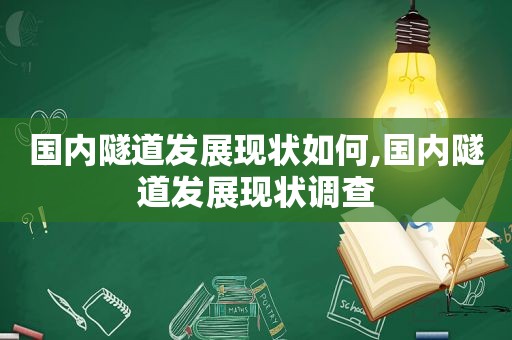 国内隧道发展现状如何,国内隧道发展现状调查