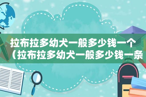 拉布拉多幼犬一般多少钱一个（拉布拉多幼犬一般多少钱一条）  第1张