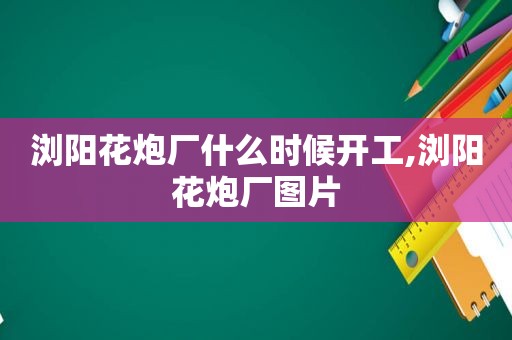 浏阳花炮厂什么时候开工,浏阳花炮厂图片