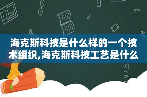 海克斯科技是什么样的一个技术组织,海克斯科技工艺是什么