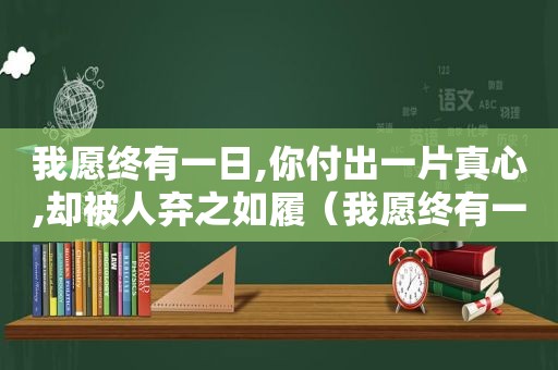 我愿终有一日,你付出一片真心,却被人弃之如履（我愿终有一日,你付出一片真心）