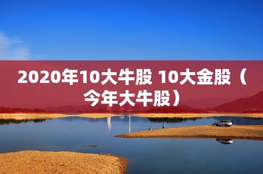 2020年10大牛股 10大金股（今年大牛股）