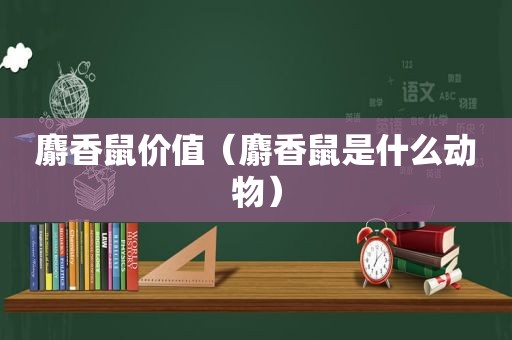 麝香鼠价值（麝香鼠是什么动物）