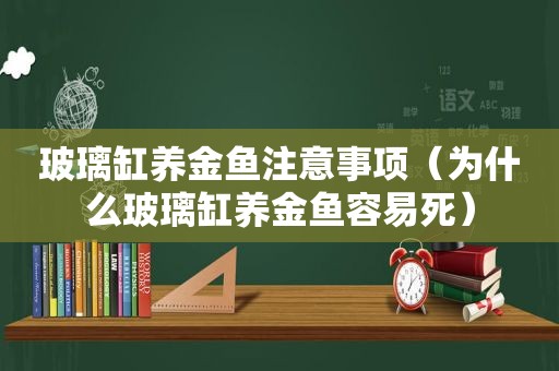 玻璃缸养金鱼注意事项（为什么玻璃缸养金鱼容易死）