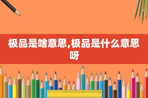 极品是啥意思,极品是什么意思呀