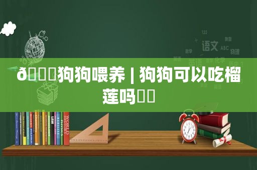 💟狗狗喂养 | 狗狗可以吃榴莲吗❓❓