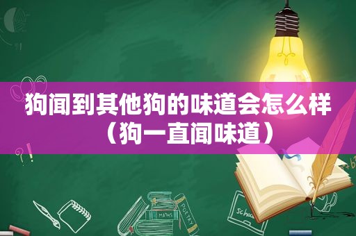 狗闻到其他狗的味道会怎么样（狗一直闻味道）