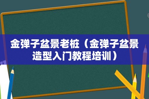 金弹子盆景老桩（金弹子盆景造型入门教程培训）