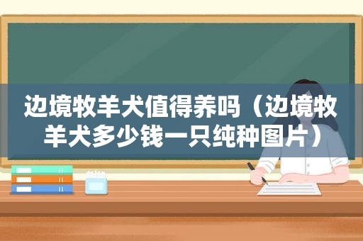 边境牧羊犬值得养吗（边境牧羊犬多少钱一只纯种图片）