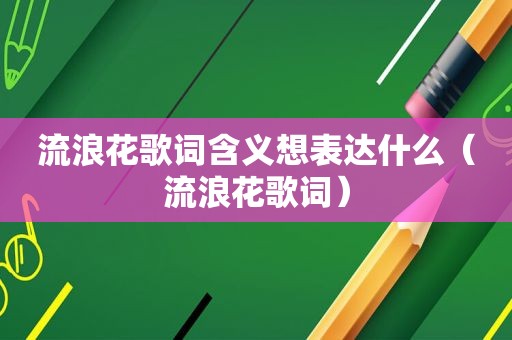 流浪花歌词含义想表达什么（流浪花歌词）