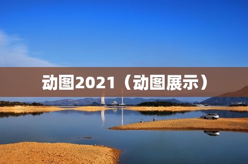 动图2021（动图展示）