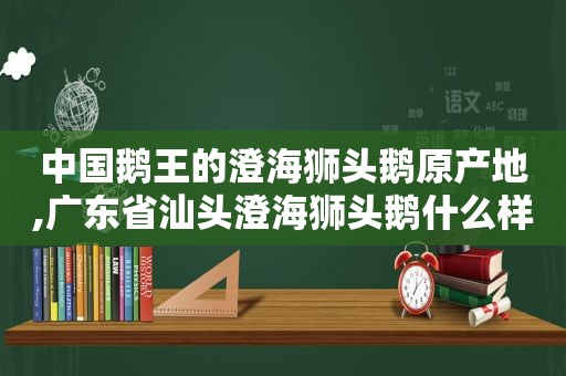 中国鹅王的澄海狮头鹅原产地,广东省汕头澄海狮头鹅什么样?