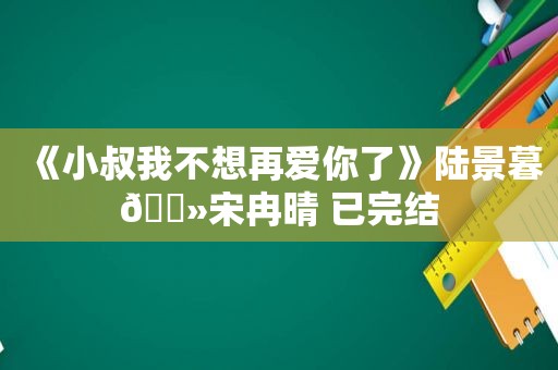 《小叔我不想再爱你了》陆景暮🔻宋冉晴 已完结