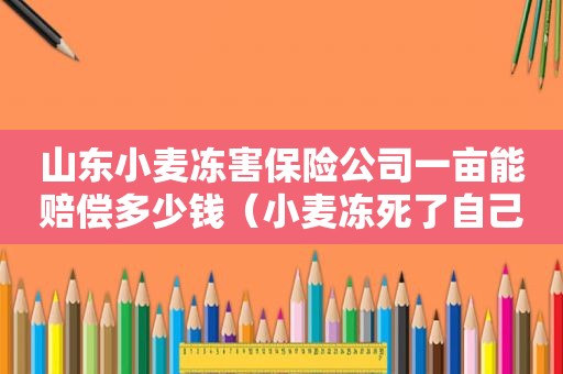 山东小麦冻害保险公司一亩能赔偿多少钱（小麦冻死了自己报保险有用吗）