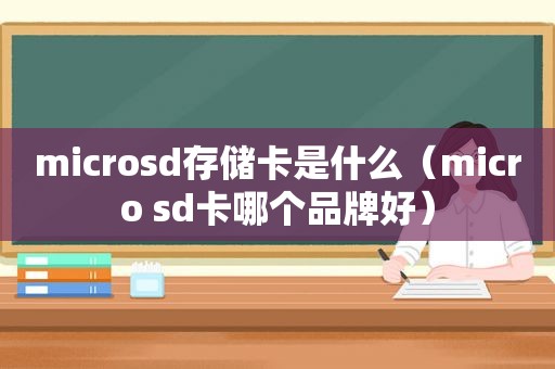 microsd存储卡是什么（micro sd卡哪个品牌好）