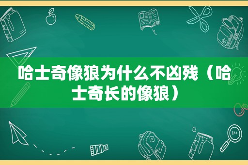 哈士奇像狼为什么不凶残（哈士奇长的像狼）