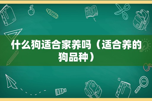 什么狗适合家养吗（适合养的狗品种）