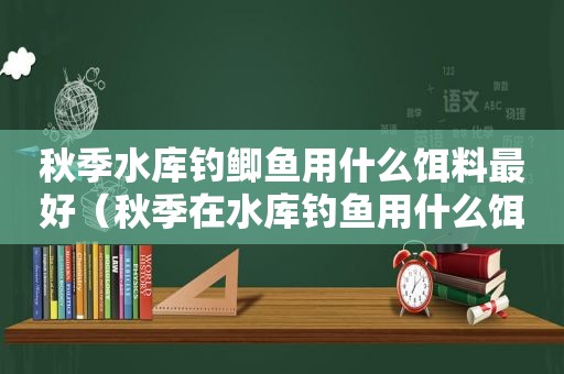 秋季水库钓鲫鱼用什么饵料最好（秋季在水库钓鱼用什么饵料好）