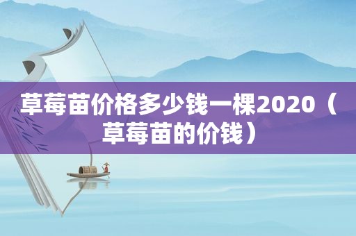 草莓苗价格多少钱一棵2020（草莓苗的价钱）