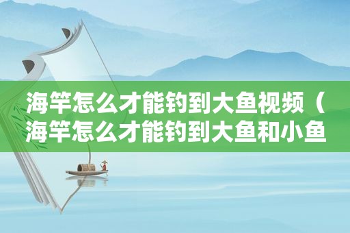 海竿怎么才能钓到大鱼视频（海竿怎么才能钓到大鱼和小鱼）