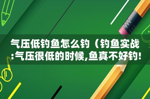 气压低钓鱼怎么钓（钓鱼实战:气压很低的时候,鱼真不好钓!）