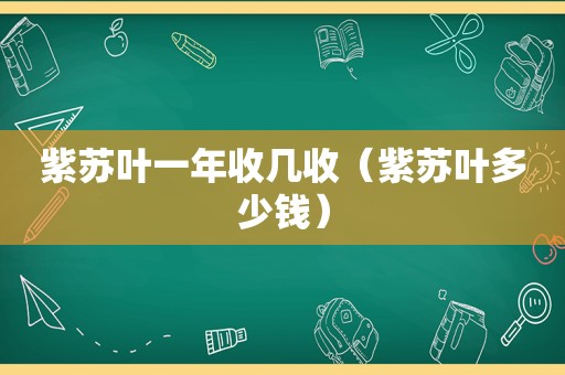 紫苏叶一年收几收（紫苏叶多少钱）