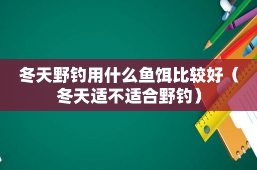 冬天野钓用什么鱼饵比较好（冬天适不适合野钓）