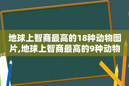 地球上智商最高的18种动物图片,地球上智商最高的9种动物