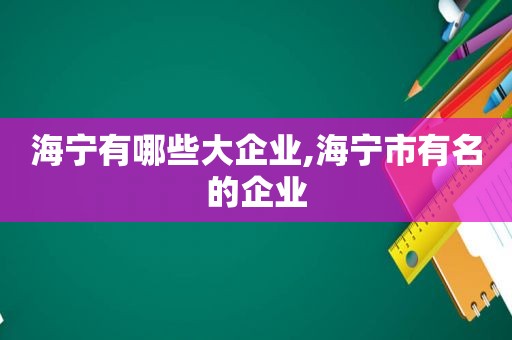 海宁有哪些大企业,海宁市有名的企业