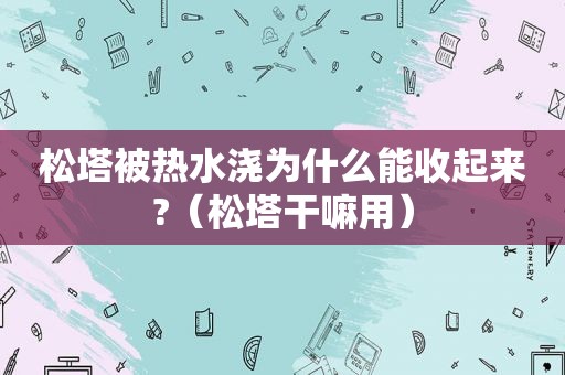 松塔被热水浇为什么能收起来?（松塔干嘛用）