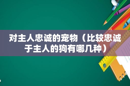 对主人忠诚的宠物（比较忠诚于主人的狗有哪几种）