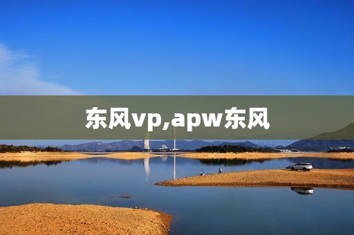 东风vp,apw东风