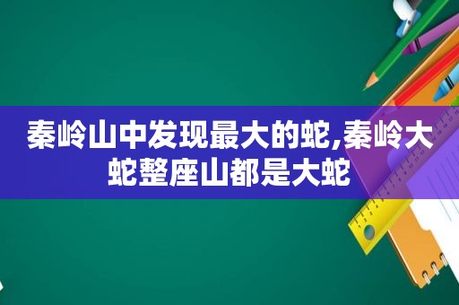 秦岭山中发现最大的蛇,秦岭大蛇整座山都是大蛇