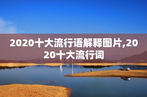 2020十大流行语解释图片,2020十大流行词