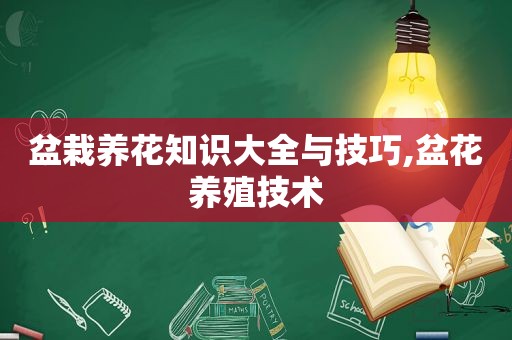 盆栽养花知识大全与技巧,盆花养殖技术