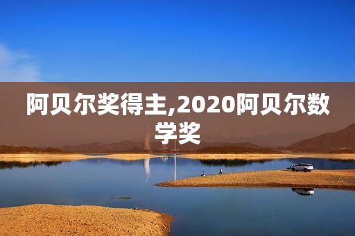 阿贝尔奖得主,2020阿贝尔数学奖