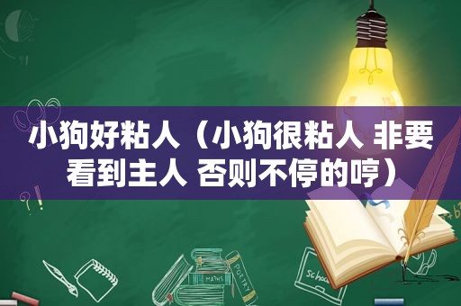 小狗好粘人（小狗很粘人 非要看到主人 否则不停的哼）