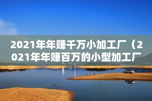 2021年年赚千万小加工厂（2021年年赚百万的小型加工厂）