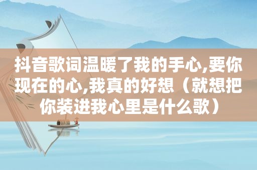 抖音歌词温暖了我的手心,要你现在的心,我真的好想（就想把你装进我心里是什么歌）