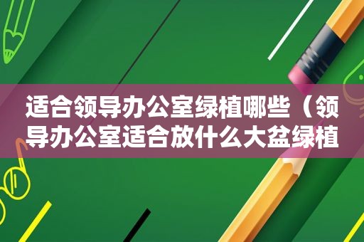 适合领导办公室绿植哪些（领导办公室适合放什么大盆绿植）