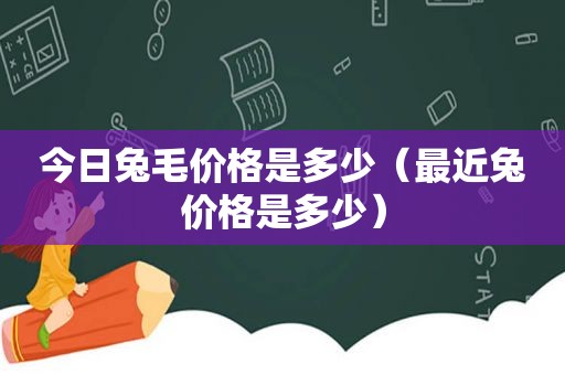 今日兔毛价格是多少（最近兔价格是多少）