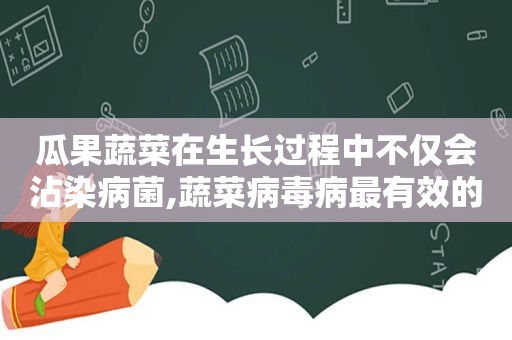 瓜果蔬菜在生长过程中不仅会沾染病菌,蔬菜病毒病最有效的方法