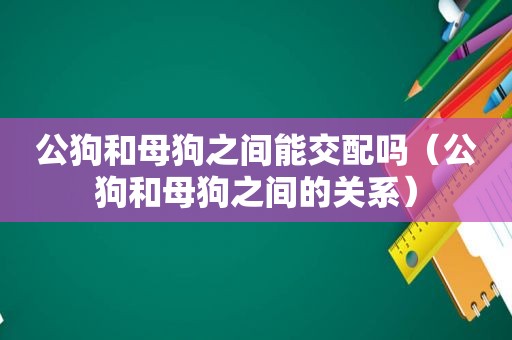 公狗和母狗之间能交配吗（公狗和母狗之间的关系）